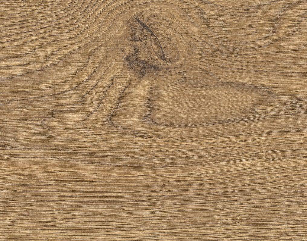 HARO Suelo laminado TRITTY 100 1-lama 4V Roble Portland natur* authentic Top Connect